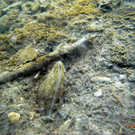 M0014059.JPG