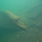 M0014062.JPG