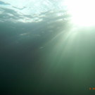 M0014064.JPG
