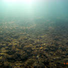M0014070.JPG