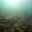 M0014071.JPG