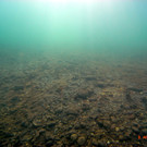 M0014076.JPG