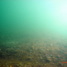 M0014077.JPG