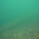 M0014080.JPG