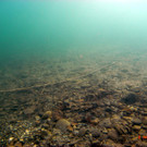 M0014088.JPG