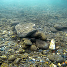 M0014089.JPG