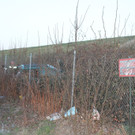 FFL090412 _2_.JPG