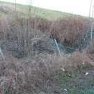 FFL090412 _6_.JPG