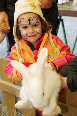 Osterhasen_12_jpg-1334091627