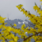 114_2987_JPG-1334097249