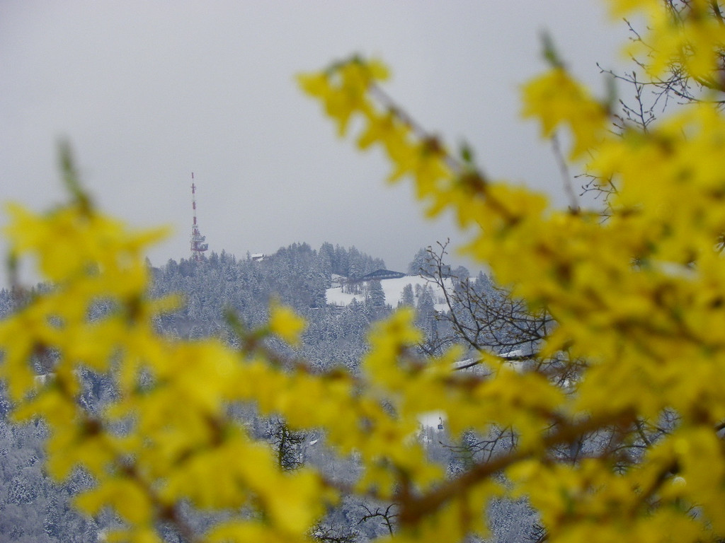 114_2987_JPG-1334097249