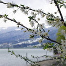 114_2960_JPG-1334097232