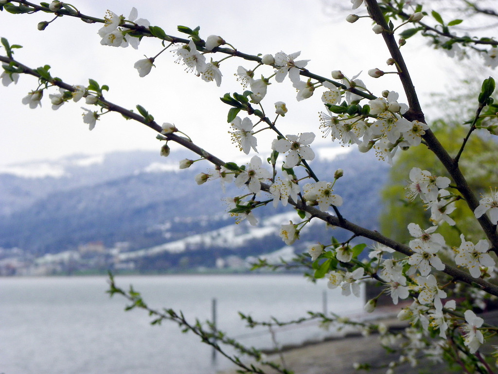 114_2960_JPG-1334097232