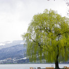 114_2968_JPG-1334097237