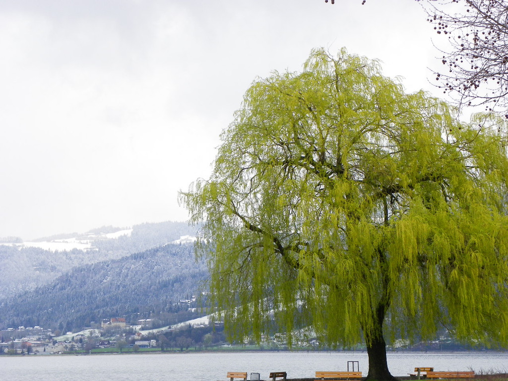 114_2968_JPG-1334097237