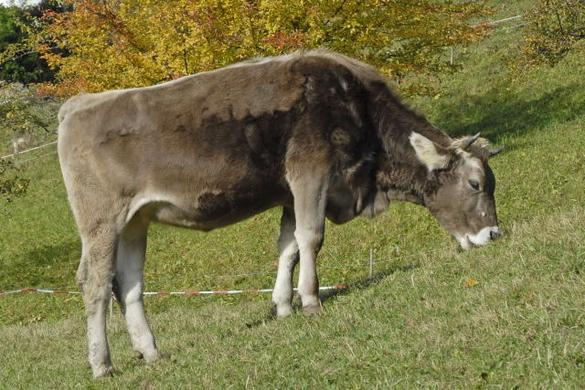 _DSC03650001_1.JPG