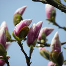 Bild 380_jpg-1334097873