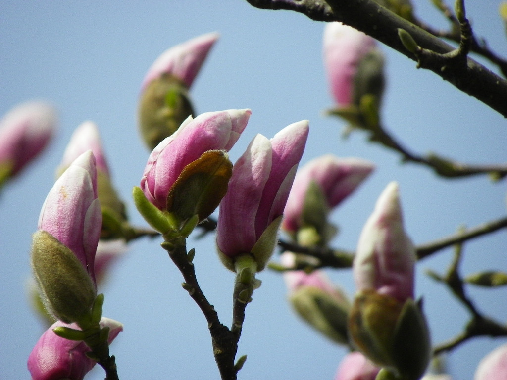 Bild 380_jpg-1334097873