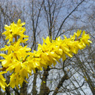 Bild 497_jpg-1334097879