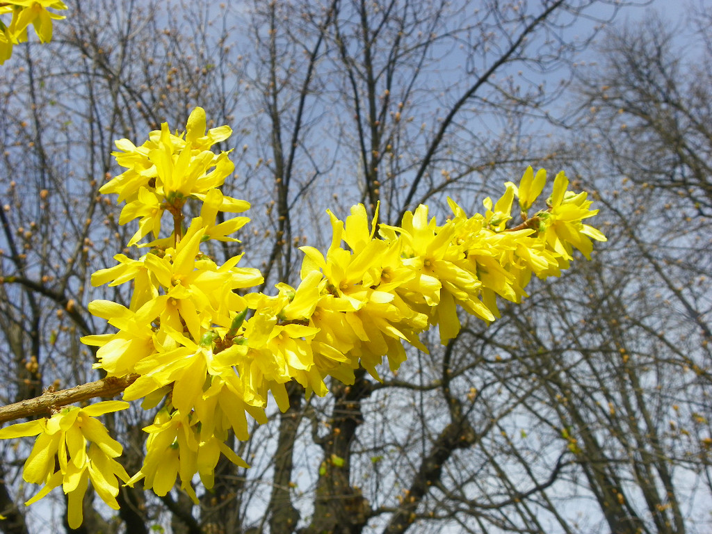 Bild 497_jpg-1334097879