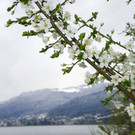 114_2984_JPG-1334097243