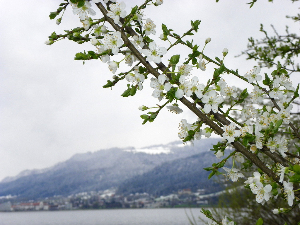 114_2984_JPG-1334097243