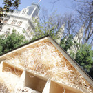 Insektenhotel Wien Rathausplatz