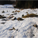 20120327_wirmboden_lawine_099_luc_fb.JPG