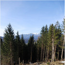20120327_wirmboden_lawine_133_luc_fb.JPG