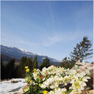 20120327_wirmboden_lawine_177_luc_fb.JPG