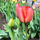 IMG_0007.jpg