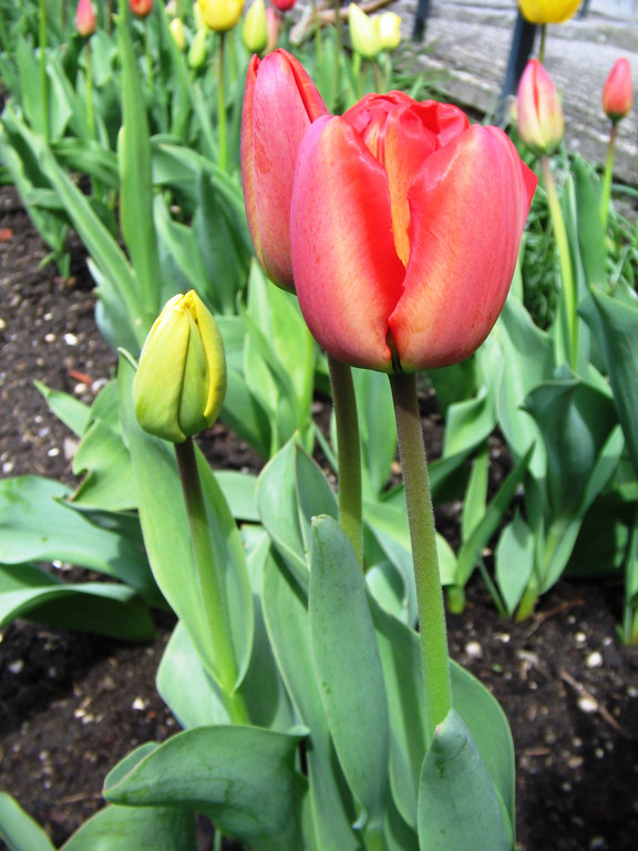 IMG_0007.jpg