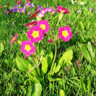 IMG_00121.jpg