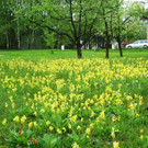 IMG_0042.jpg
