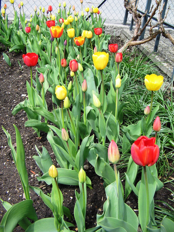 IMG_0110.jpg