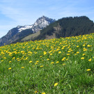 IMG_00001.jpg