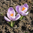 IMG_00016.jpg