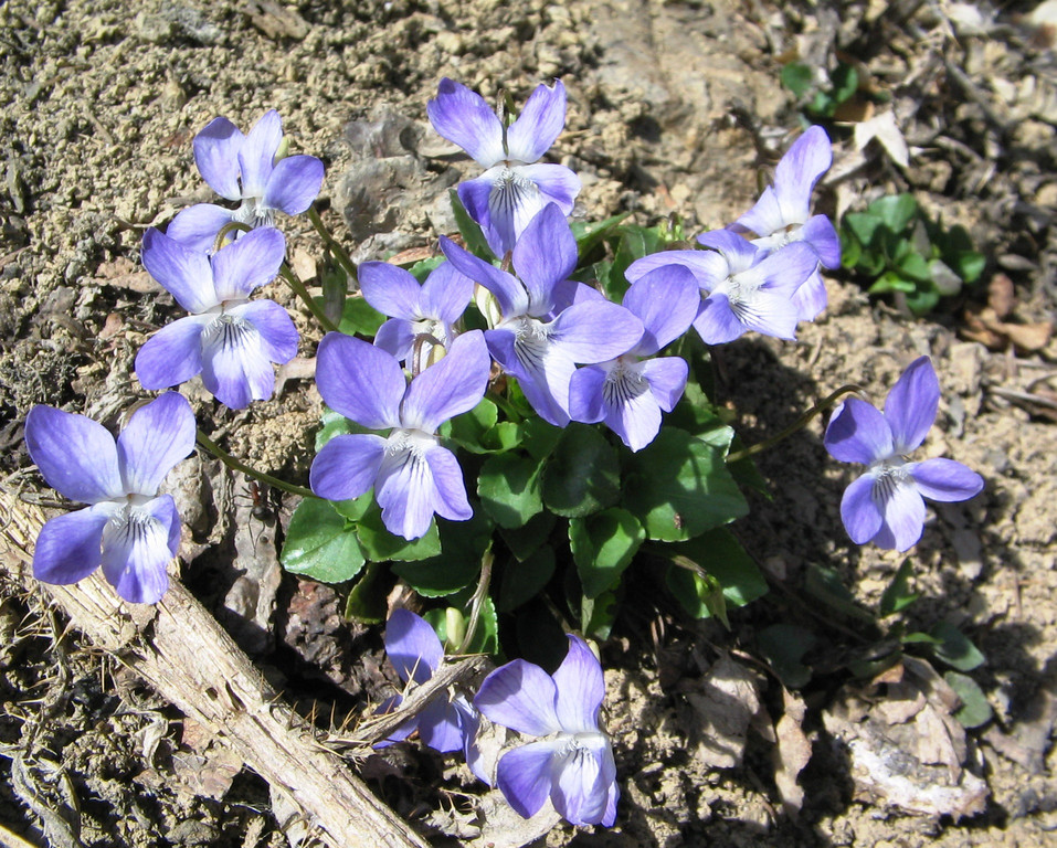 IMG_00025.jpg