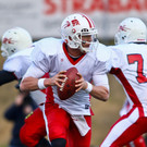 Salzburg Bulls in Action