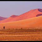 D__ne 2_jpg-1334389873