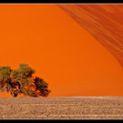 D__ne 4_jpg-1334389877