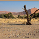 Sossusvlei 1_5_jpg-1334389964