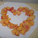 DSC00504.JPG