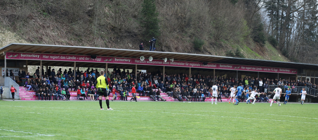 Egg - Bizau  12 299_panorama_jpg-1334431892