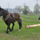 DSC_0077_JPG-1334471679