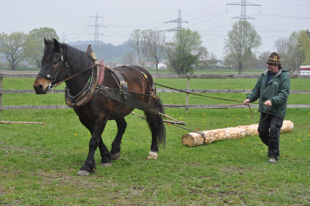 DSC_0077_JPG-1334471679