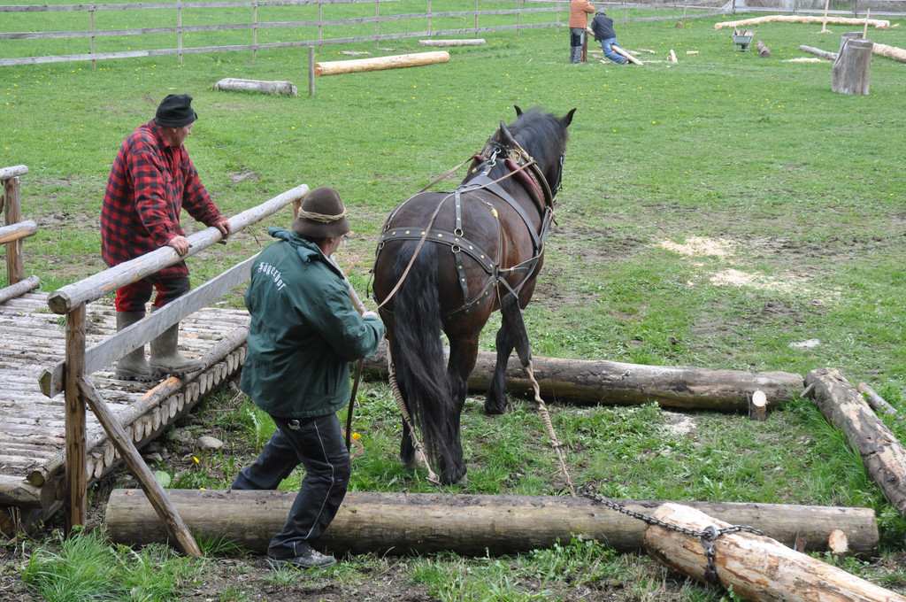 DSC_0092_JPG-1334471894