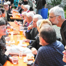 Baum 058_jpg-1334473782