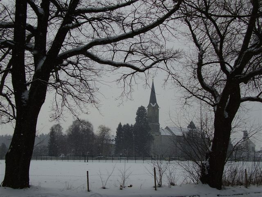 P7090230.JPG