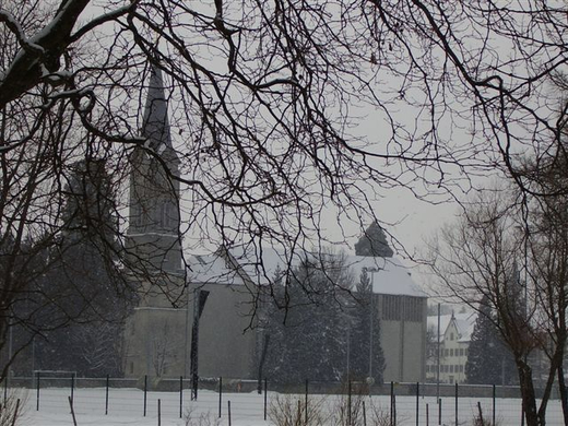 P7090240.JPG